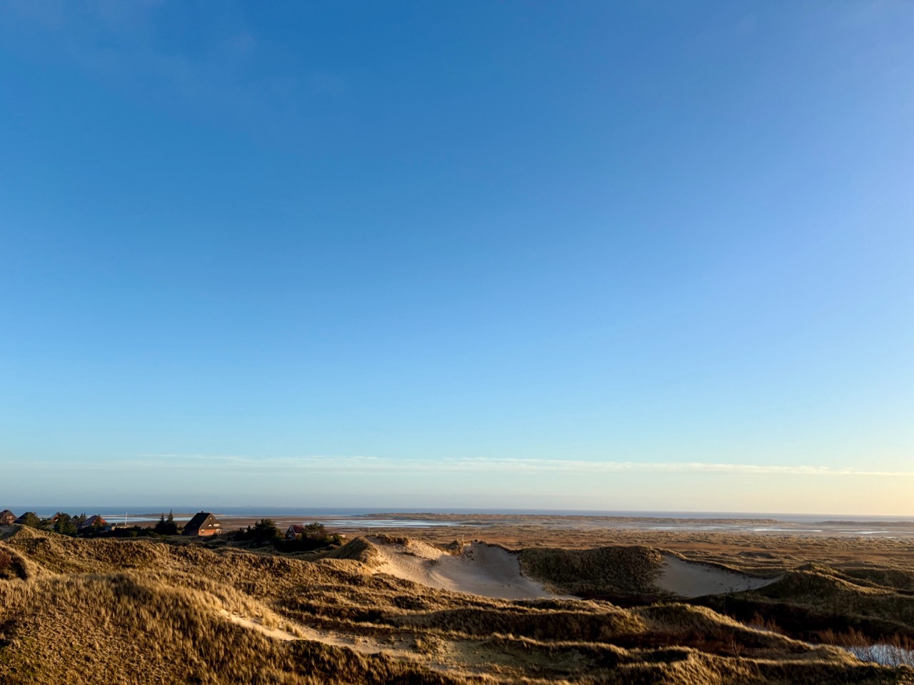 Amrum Foto: Groß (Alle Fotos   1 von 1 (58))